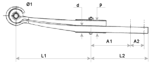 Form1