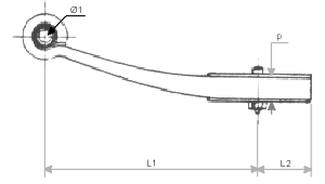 Form1