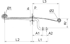 Form1