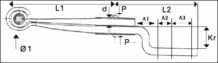 Form1